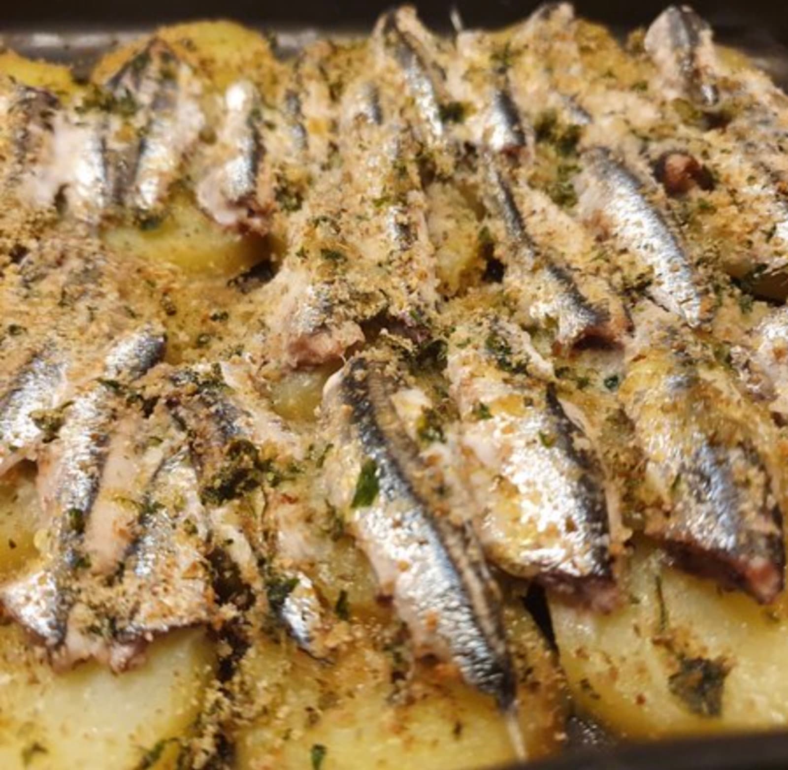 Ligurian Anchovies